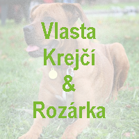 4-vlasta-krej-b
