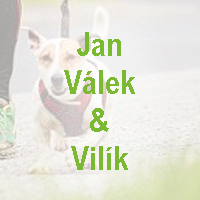 8-jan-vlek-b