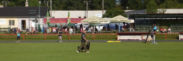 Mezin&aacute;rodn&iacute; ps&iacute; festival CACIT Dobř&iacute;&scaron;