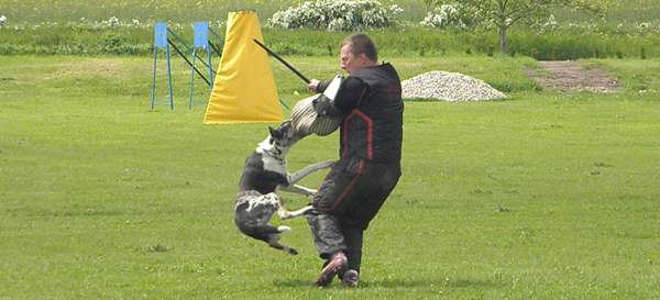 O Opatovick&yacute; poklad