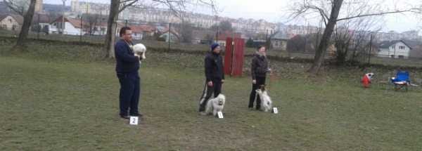 ŠK Severan na jarních agility závodech ŠK Severan na jarních agility závodech